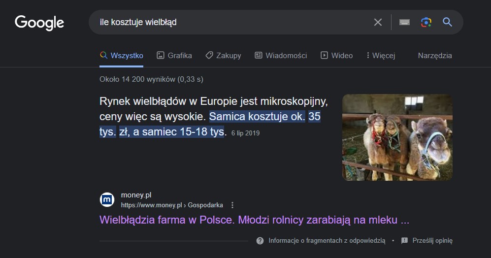 ile kosztuje wielbłąd - info na money.pl